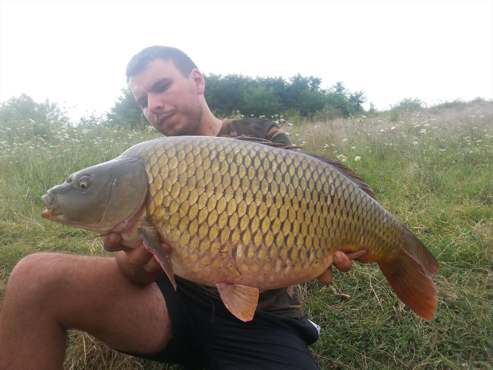 Walter Maracineanu 1 - 2 august 2014 - 201408021641261.jpg